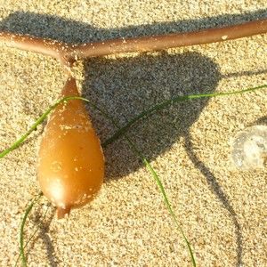 Meet your Posher, Christie